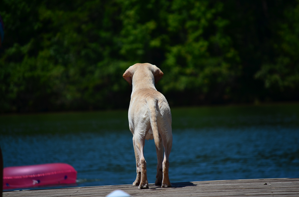 Brody - Saban Lake Oconee (1)
