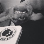 CHEEEEEEEESE.-itsalabthing-thechariot
