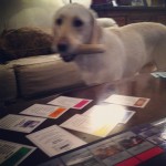 Could-you-put-the-bone-on-Go-and-give-me-200-in-kibble-Thank-you-labs-labstagram-labradorable-labsof
