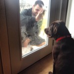 Dad-I-dont-know-why-youre-even-bothering-to-clean-the-back-door.-Im-just-going-to-lick-it-and-put-my