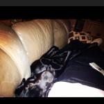 Had-so-much-fun-playing-ball-all-afternoon-Now-I-will-cuddle-with-mommy-like-this-because-I-am-too-e