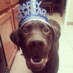 Happy-New-Year