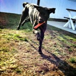 I-believe-I-can-fly