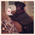 I-washed-Snoopy-his-best-friend-today.-I-think-he-approves