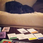 Is-it-my-turn-yet-labs-labstagram-labradorable-labsofinstagram-labradorretriever-itsalabthing-blackl