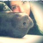 Its-a-Lab-Thing-Labrador5