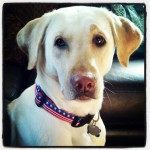 My-beautiful-girl