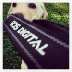 Please-let-me-try-the-camera1