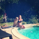 Pool-day-florida-labsofinstagram-pool-sun-warm-ifuckinglovemydog-itsalabthing-mychild-instagram-wate