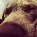 Somebody-cant-ever-be-close-enough-ziggy-love-itsalabthing