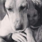 Someone-thinks-they-are-a-lap-dog-itsalabthing-spoiledrotten