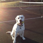 Tennis-time-tennis-ballboy-lab-itsalabthing-whitelab