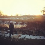 and-on-his-farm-he-had-Two-Puppies-itsalabthing-Tony-Petey