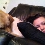 dayafternewyearseve-cuddling-sleeping-itsalabthing-yellowlab