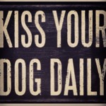 love-labrightnow-ilovelabs-ilovemylab-itsalabthing-ilovemydog-kisses