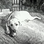 yellowlab-dudleylab-lovemylab-itsalabthing