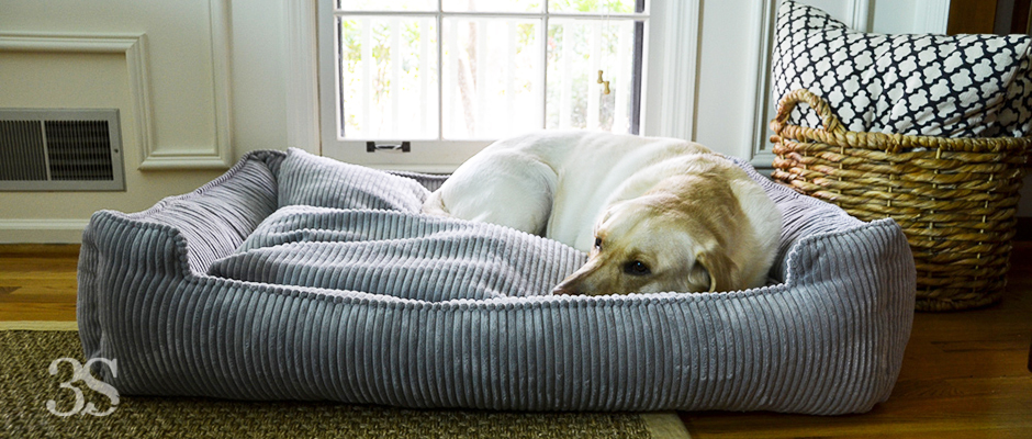 3 Shades of Dog It's a Lab Thing Brody Cord dog Bed 