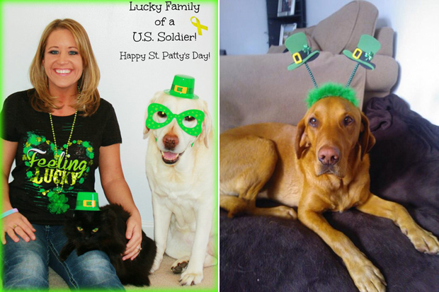 Its-a-Lab-Thing-Labrador-Irish-St-Patricks-day-004