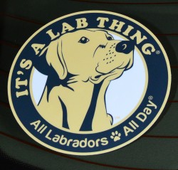 Its-a-Lab-Thing-Labrador-Sticker-001