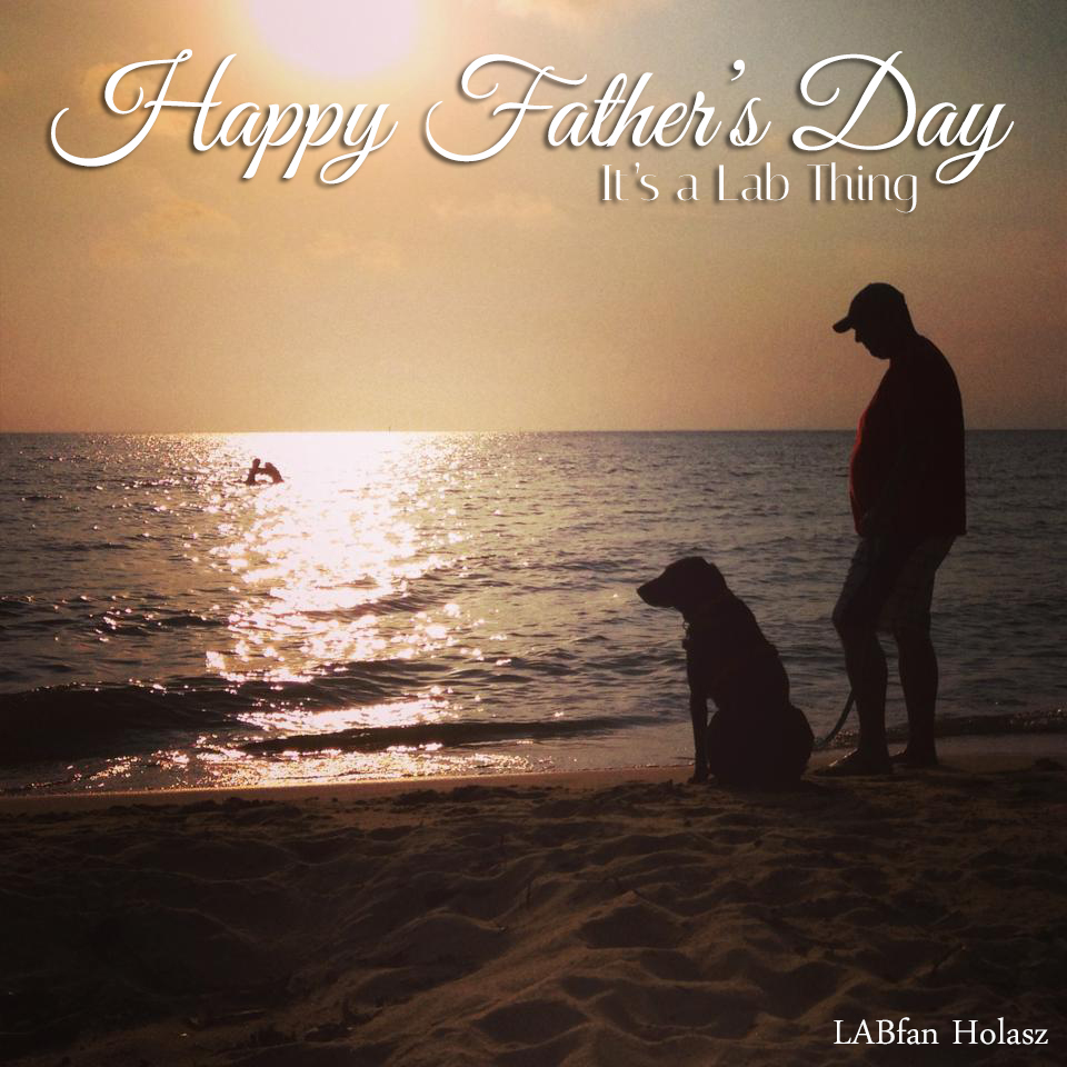 Its a Lab Thing fathers day labrador