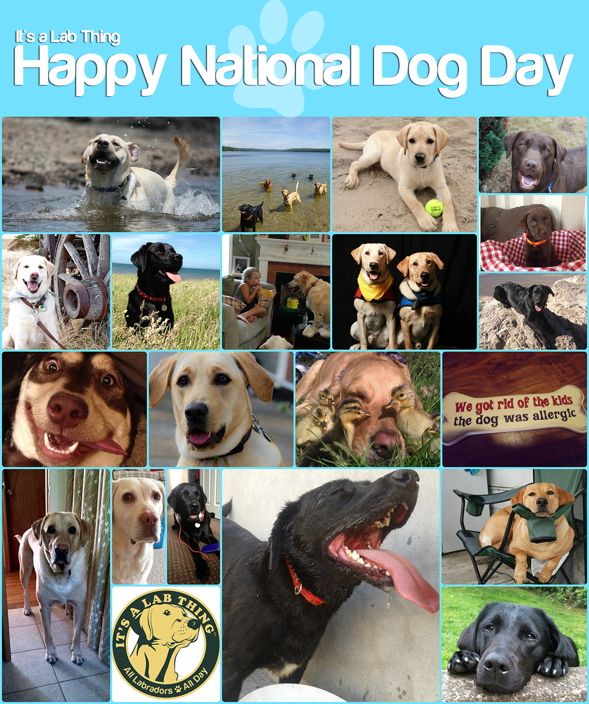 happy national puppy day happy national day from it s a lab thing it s a lab thing happy national puppy day happy national day from it s a lab thing it s a lab thing
